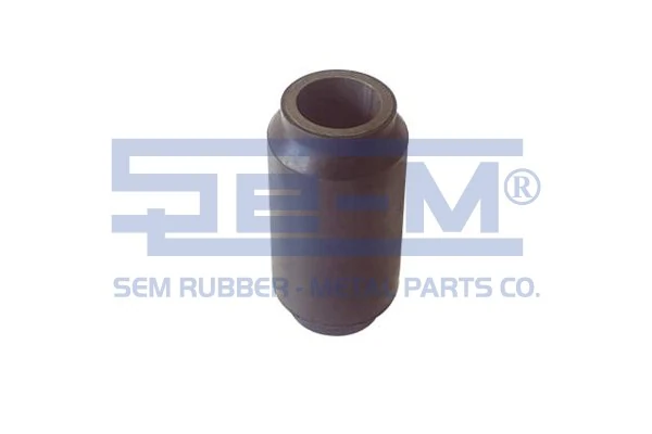 Bushing, leaf spring